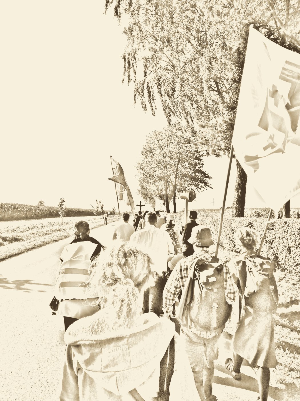 VII Piesza Pielgrzymka Tradycji do Wąwolnicy – zapowiedź